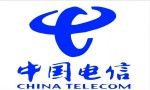 中国电信股份有限公司